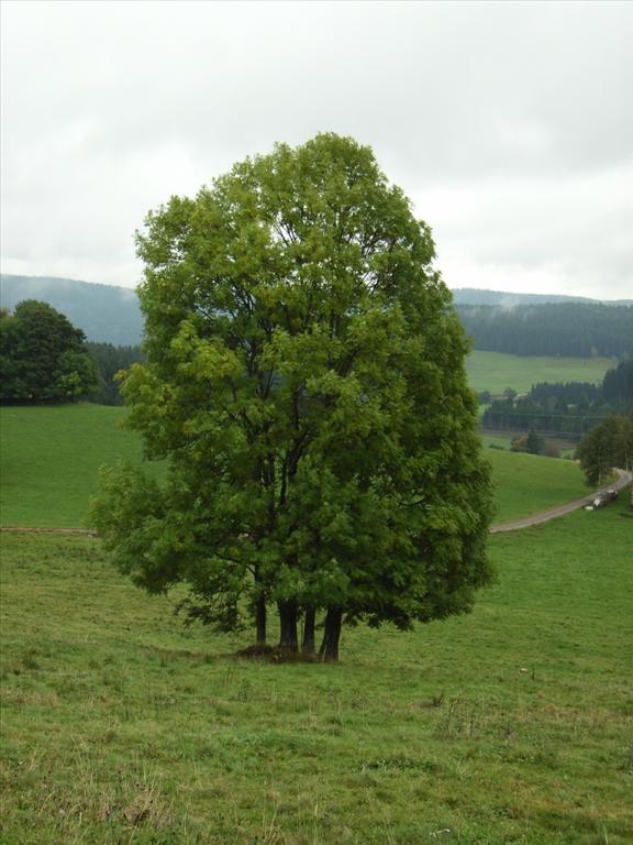 2005-10-04__RIMG0322