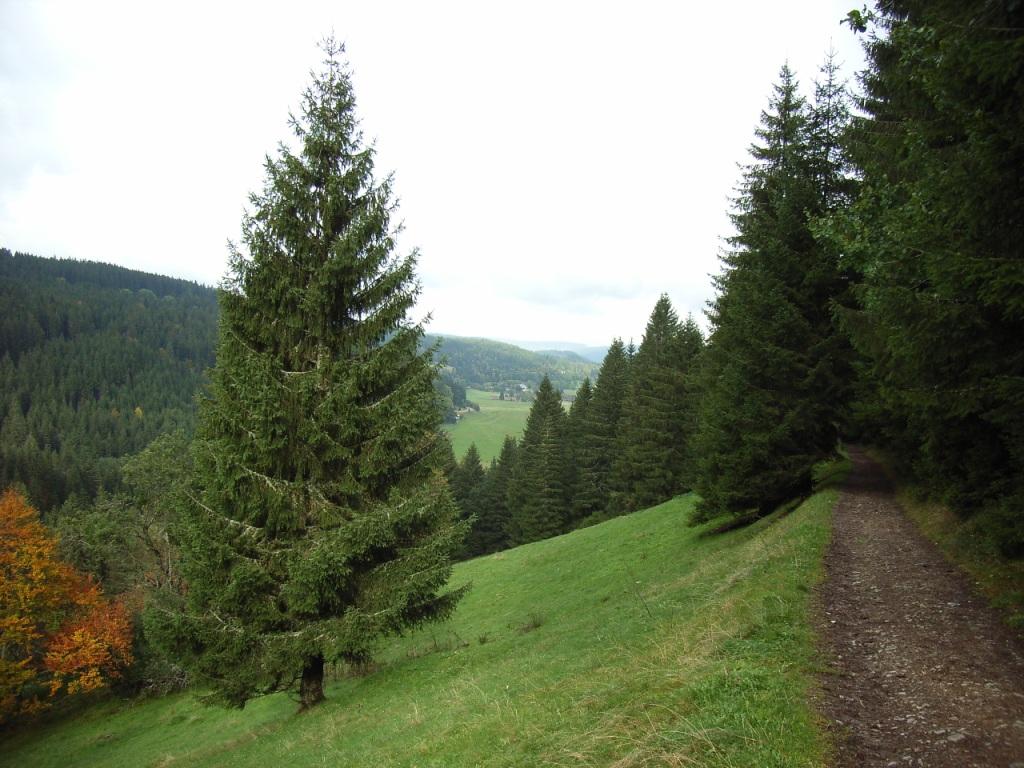 2005-10-04__RIMG0329