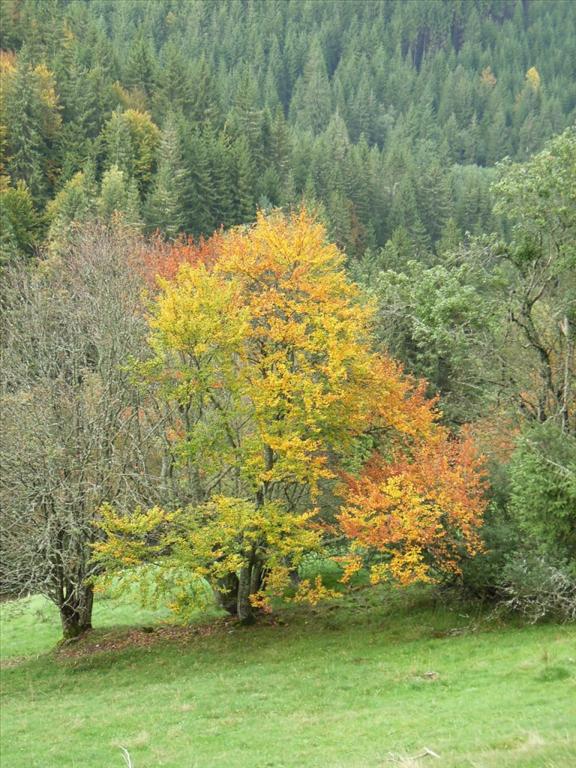 2005-10-04__RIMG0331