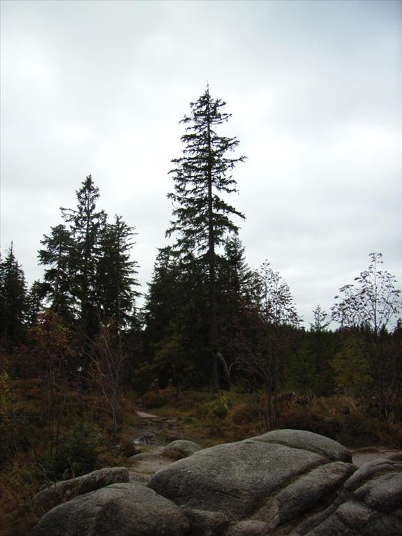 2005-10-05__RIMG0338