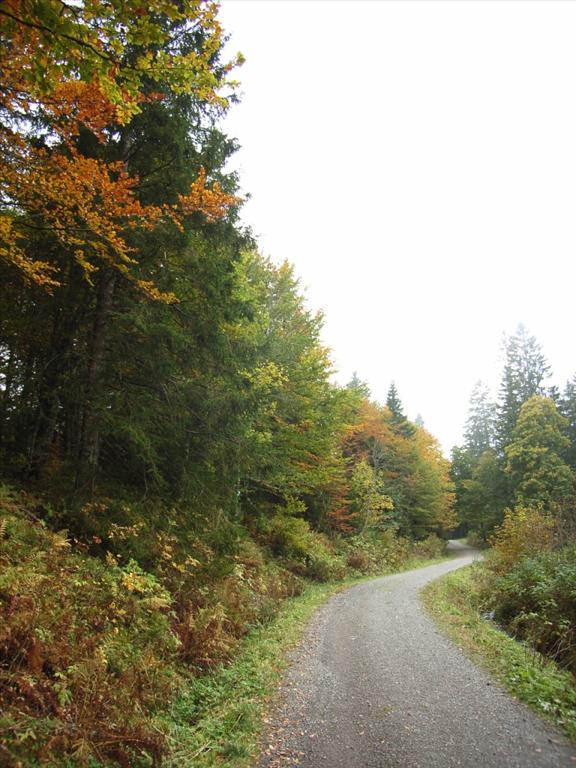 2005-10-05__RIMG0345