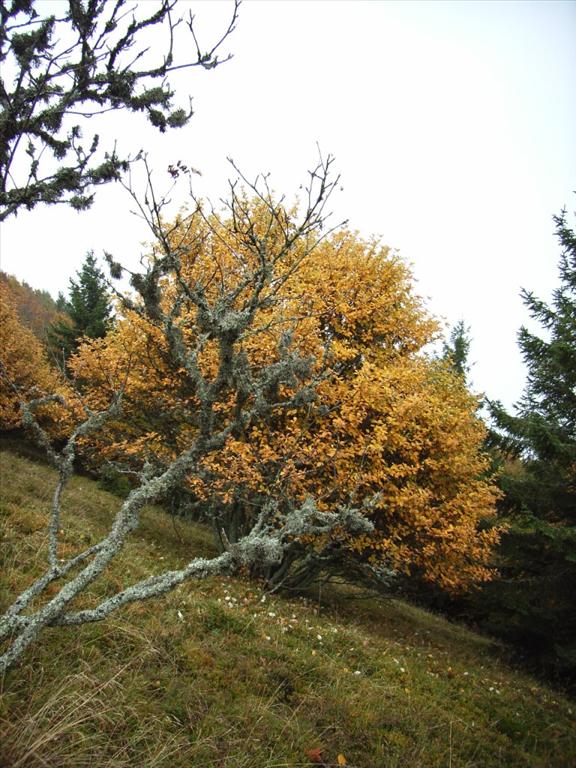 2005-10-06__RIMG0355
