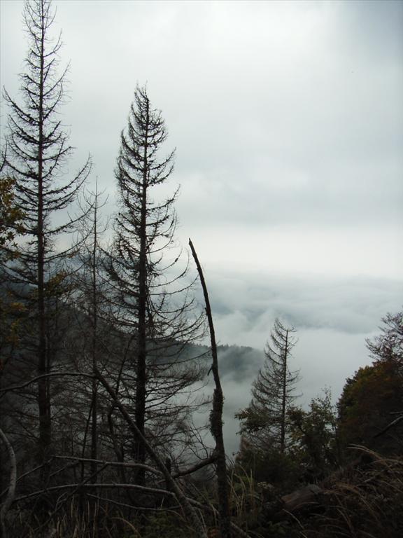 2005-10-06__RIMG0357