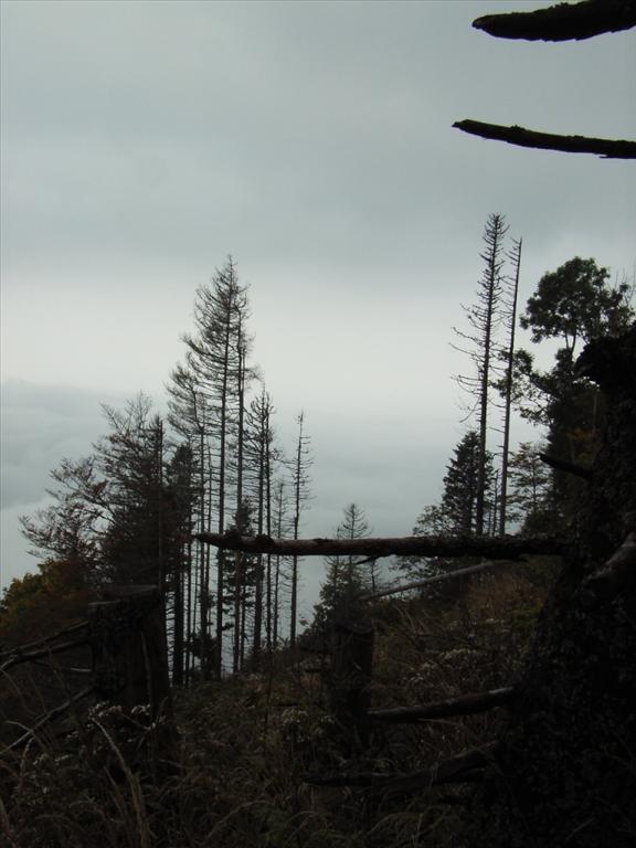 2005-10-06__RIMG0358