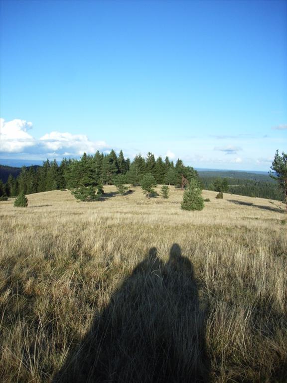 RIMG0398