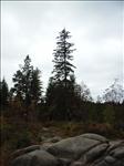 2005-10-05__RIMG0338