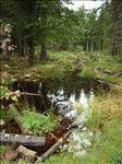 2005-10-05__RIMG0339