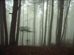 2005-10-05__RIMG0347