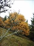 2005-10-06__RIMG0355