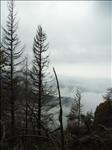 2005-10-06__RIMG0357