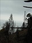 2005-10-06__RIMG0358