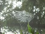 2005-10-06__RIMG0360