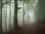 2005-10-06__RIMG0361