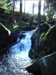 RIMG0389